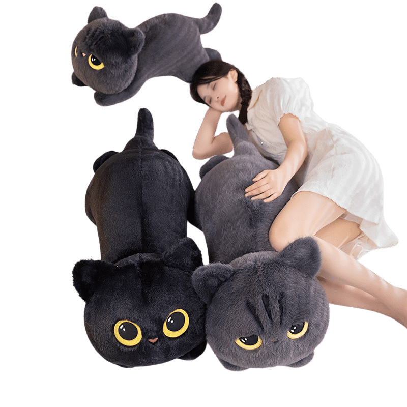 Salem the Curious Cat Plush – Big Eyes, Bigger Cuddles